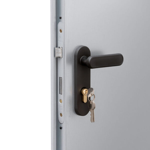 Puerta Galvanizada Lisa 2 hojas - Imagen 4