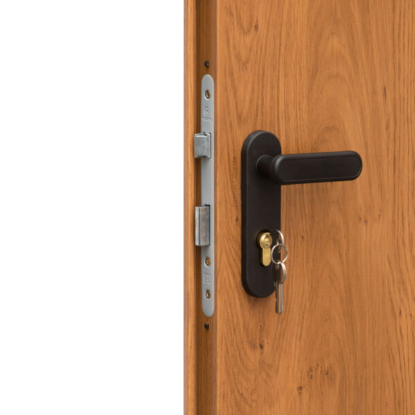 Puerta Galvanizada Lisa Acabado PVC Madera 1 hoja - Imagen 4